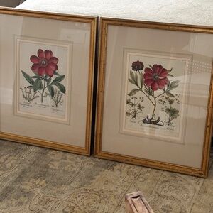 Pair of Floral Botanical Framed Art Prints